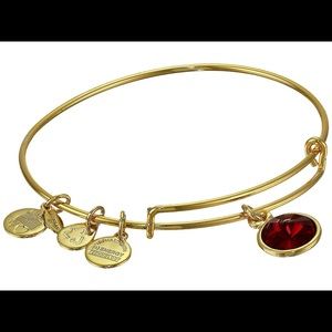 Alex & Ani Gold Bangle